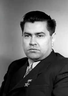 Petrovich: Pilot A.P.Maresyev