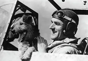 Seeger: PIlot of the German Luftwaffe, 1943
