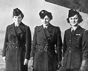 Friedlander: Pilots of the Air Transport Auxiliary Service