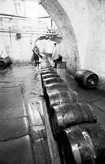 Hopps: Pilsner Urquell beer brewery