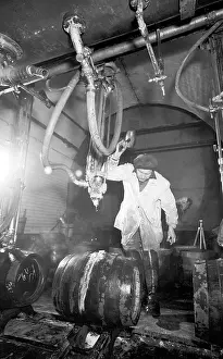 Hopps: Pilsner Urquell brewery - beer - pils