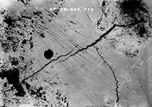 Forgery: Piltdown 1 molar