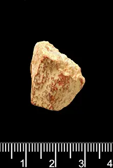 Forgery: Piltdown bone fragment