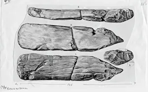 Forgery: Piltdown bone implement (cricket bat)