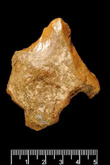 Forgery: Piltdown Eolithic flint