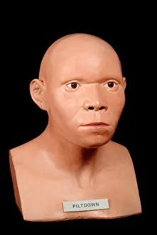 Forgery: Piltdown Man (Model based on Piltdown 1 & 2)