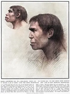 Profesor: Piltdown man reconstructed