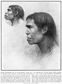 Piltdown man reconstructed