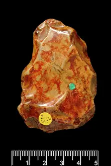 Forgery: Piltdown rolled flake