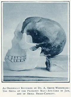 Presumed: Piltdown Skull