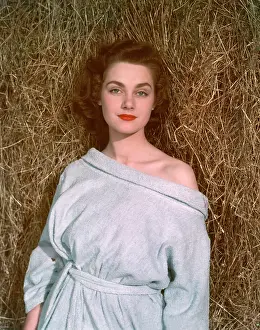 Towelling: PIN-UP / BATHROBE & HAY
