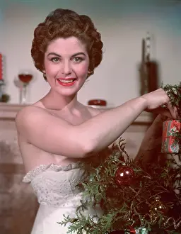 Decking: PIN-UP DECKS TREE