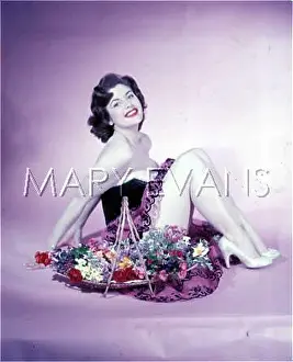 Stilettos: PIN-UP & FLOWERS/ 1950S