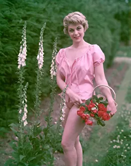Digitalis: PIN-UP & FOXGLOVES