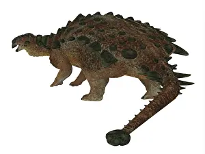 Osteoderm: Pinacosaurus dinosaur on white background