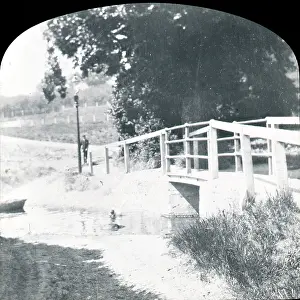 Pincott: Pincott Bridge