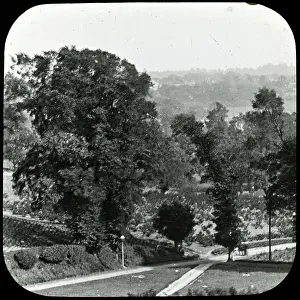 Scratched: Pincott Fields
