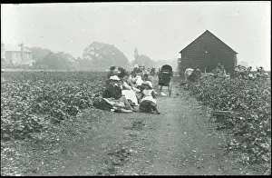Pincott: Pincott Fields, Pincott Road