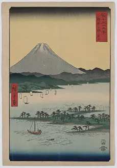Promontory: Pine beach at Miho in Suruga