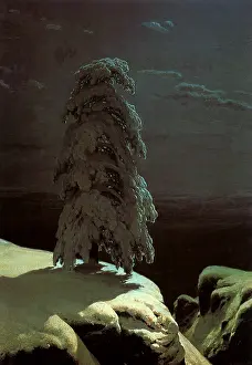 Wilds: A Pine There Stands in the Northern Wilds