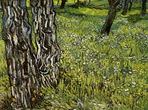 Dandelions: Pine Trees & Dandelions in the Garden... by Van Gogh