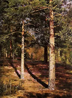 Shishkin: Pine Trees in Sunlight