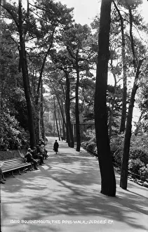 Pathway: The Pine Walk, Bournemouth