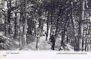 Sandgate: The Pine Walk - Lower Sandgate Road, Folkestone, Kent
