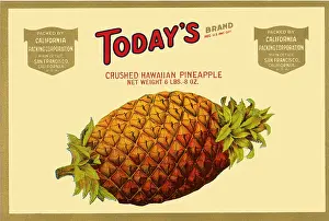 Pineapple: Pineapple