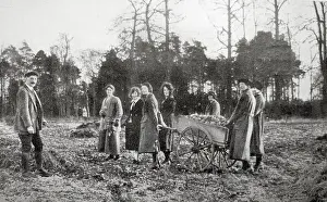 Sanatorium: Pinewood Sanatorium, Bagshot Sands, Wokingham, Berkshire