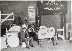 Pong: Ping Pong the Performing Donkey 1902
