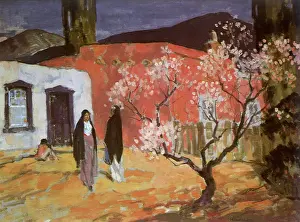 Adobe: The Pink Adobe