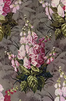 Digitalis: Pink Blossoms