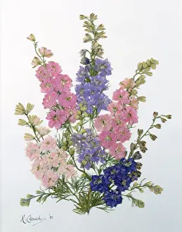 Bouquets: Pink and Blue Larkspur