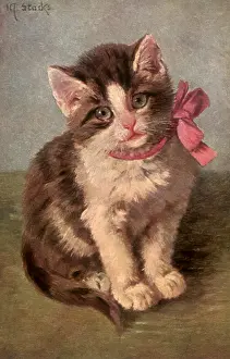 Bowed: Pink Bowed Kitten
