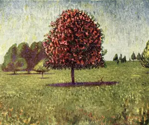 Mccrossan: The Pink Chestnut