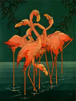 Stark: Pink Flamingoes