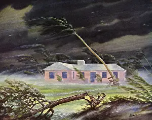 Hurricanes: Pink House in Hurricane