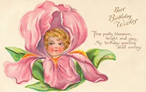 Marcellus: Pink (Iris) Flower Faces