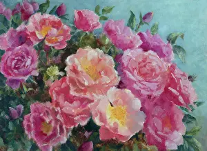 Dawe: Pink June Roses