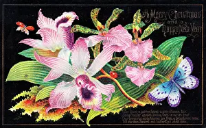 Ladybirds: Pink lilies on a Christmas card