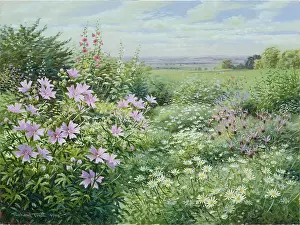Hollyhocks: The Pink Mallow ' with Hollyhocks