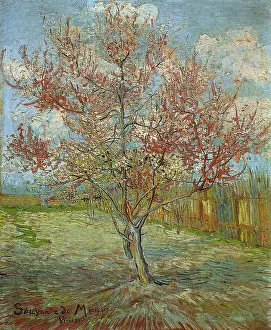 Peach: Pink Peach Tree in Blossom, by Van Gogh