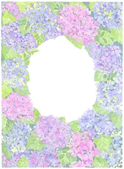 Hydrangeas: Pink and Purple Hydrangeas in a border design
