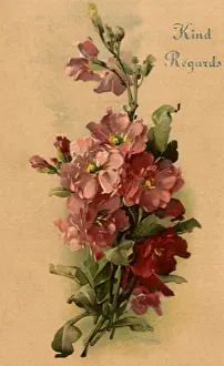 Manner: Pink and Red Bouquet