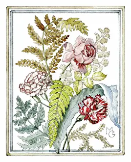Carnations: Pink Rose, Carnations and ferns