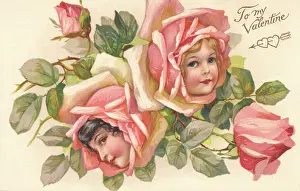 Nister: Pink rose flower faces