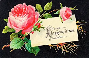 Rosebuds: Pink roses on a Christmas card