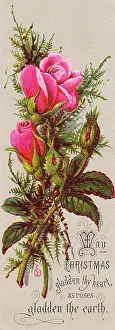 Rosebud: Pink roses on a Christmas card