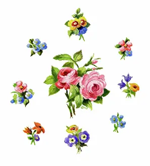 Ockenden: Pink roses and other flowers